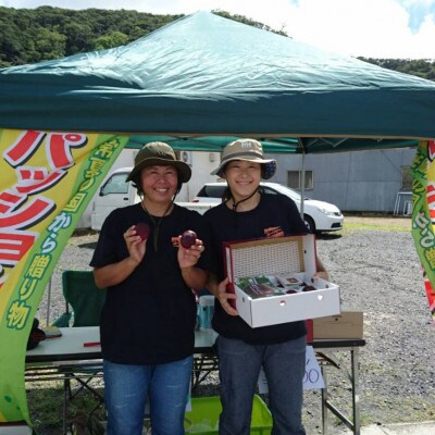 パッションフルーツL玉6個×3箱　お友達にお手軽ミニギフト!　奄美・かけろま島産