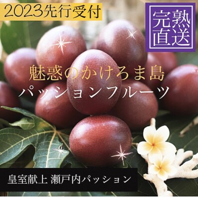 パッションフルーツ5kg約60個×2箱!　奄美・かけろま島産　バラ箱詰め　甘酸っぱい初夏の味!