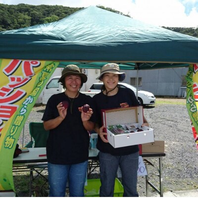 パッションフルーツ5kg約60個×2箱!　奄美・かけろま島産　バラ箱詰め　甘酸っぱい初夏の味!
