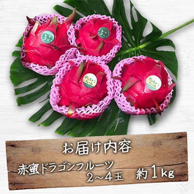【奄美産】 食べごろ樹上完熟『赤蜜ドラゴンフルーツ』約1kg(2～4玉)