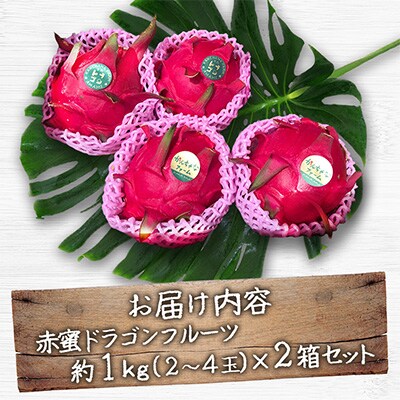 【奄美産】 食べごろ樹上完熟『赤蜜ドラゴンフルーツ』1kg×2箱セット