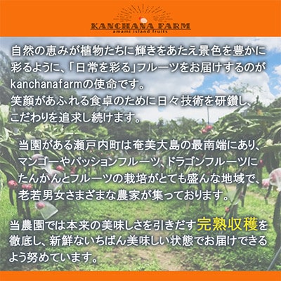 【奄美産】 食べごろ樹上完熟『赤蜜ドラゴンフルーツ』1kg×2箱セット