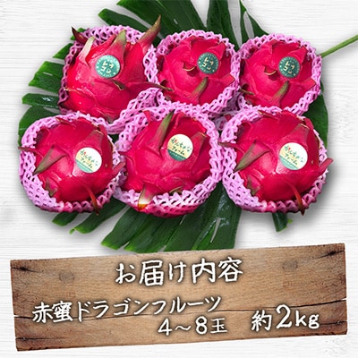 【奄美産】 食べごろ樹上完熟『赤蜜ドラゴンフルーツ』約2kg(4～8玉)