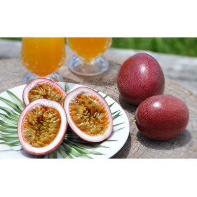 �y��s��t�z�y2026�N5�����{�ȍ~���������z�p�b�V�����t���[�c�@���ϔ�M��15����×3��