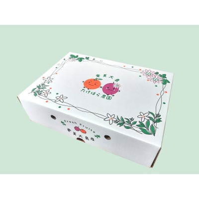 【先行受付】【2026年5月下旬以降順次発送】パッションフルーツ　化粧箱M玉15個入り×3箱