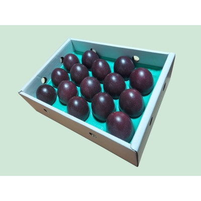 【先行受付】【2026年5月下旬以降順次発送】パッションフルーツ　化粧箱M玉15個入り×3箱