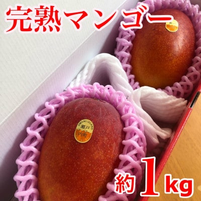【2023年7月下旬以降順次発送】奄美完熟マンゴー　化粧箱約1kg(2～3玉入り)農家直送♪