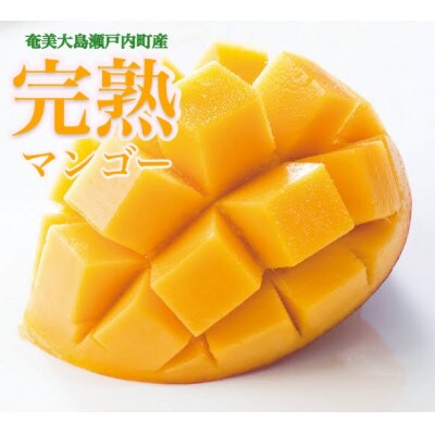 【2023年7月下旬以降順次発送】奄美完熟マンゴー　化粧箱約2kg(4～6玉入り)農家直送♪