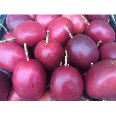 果樹園謹製☆パッションフルーツジュース(3本セット)