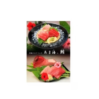 鹿児島県奄美大島産　黒マグロBセット