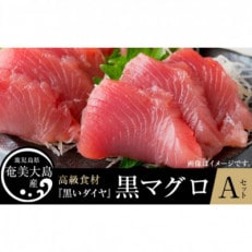 鹿児島県奄美大島産 黒マグロAセット