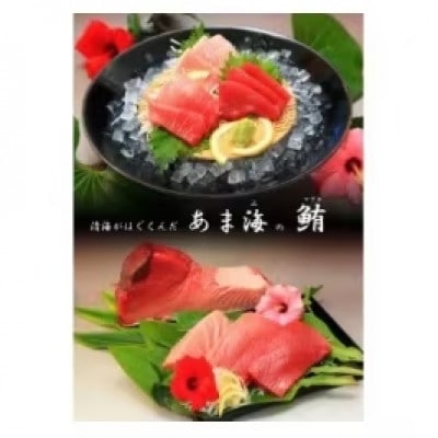 鹿児島県奄美大島産　黒マグロAセット