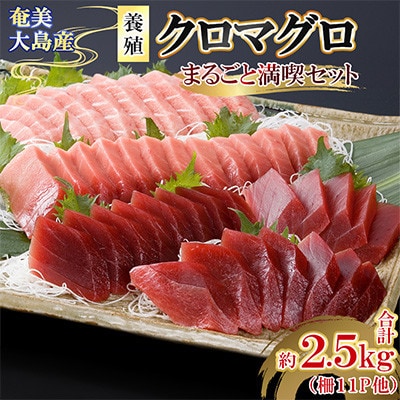 奄美大島産養殖クロマグロまるごと満喫セット(柵11P他)