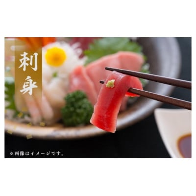 奄美大島産養殖クロマグロまるごと満喫セット(柵11P他)