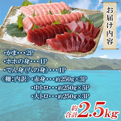 奄美大島産養殖クロマグロまるごと満喫セット(柵11P他)