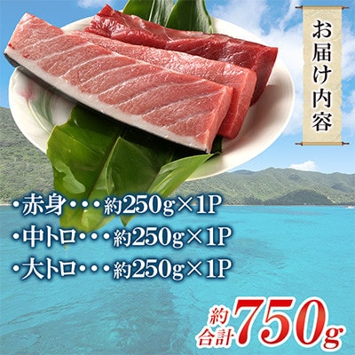 奄美大島産養殖クロマグロ(3柵セット)