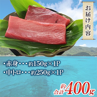 奄美大島産養殖クロマグロ(2柵セット)