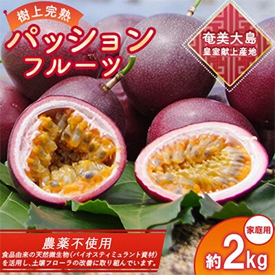 期間限定【農薬不使用】奄美大島 完熟パッションフルーツ 約2kg(農家直送)家庭用