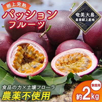 期間限定【農薬不使用】奄美大島 完熟パッションフルーツ 約2kg(農家直送)家庭用