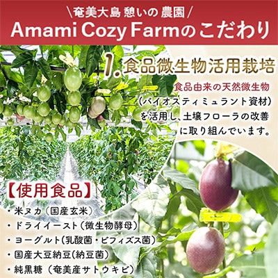 期間限定【農薬不使用】奄美大島 完熟パッションフルーツ 約2kg(農家直送)家庭用