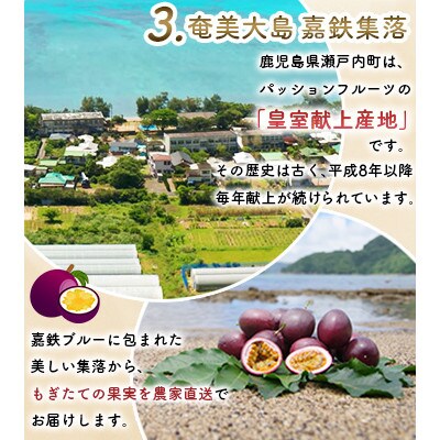 期間限定【農薬不使用】奄美大島 完熟パッションフルーツ 約2kg(農家直送)家庭用
