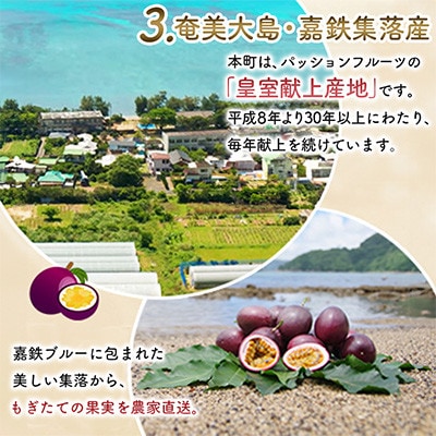 期間限定【農薬不使用】奄美大島 完熟パッションフルーツ 約2kg(農家直送)家庭用