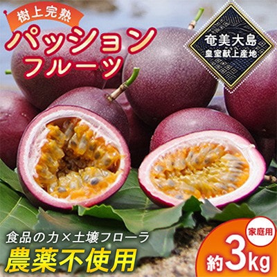 期間限定【農薬不使用】奄美大島 完熟パッションフルーツ 約3kg(農家直送)家庭用