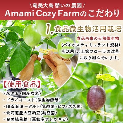 期間限定【農薬不使用】奄美大島 完熟パッションフルーツ 約3kg(農家直送)家庭用