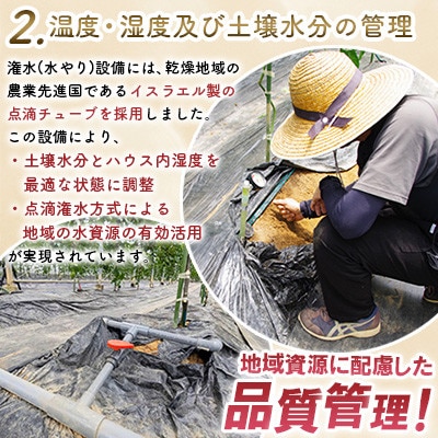 期間限定【農薬不使用】奄美大島 完熟パッションフルーツ 約3kg(農家直送)家庭用