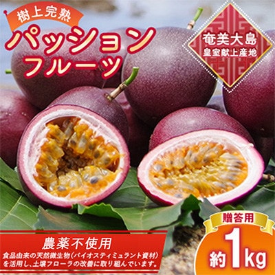 期間限定【農薬不使用】奄美大島 完熟パッションフルーツ 約1kg(農家直送)贈答用