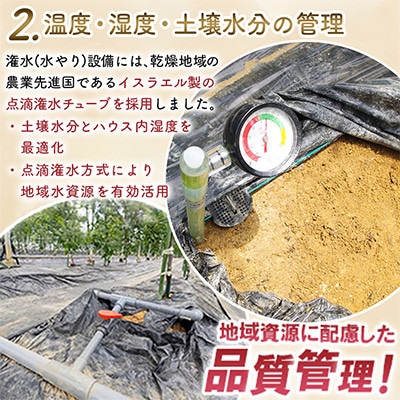 期間限定【農薬不使用】奄美大島 完熟パッションフルーツ 約1kg(農家直送)贈答用