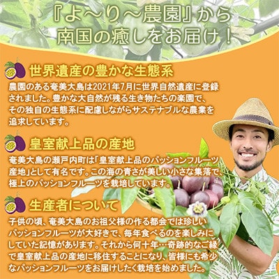 《皇室献上品産地のパッションフルーツ》奄美大島瀬戸内町産 大玉12個入り/約1kg