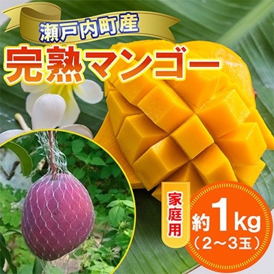 ご家庭用奄美マンゴー約1kg(2～3玉入り)