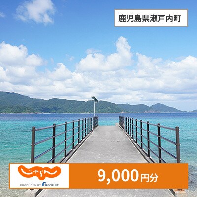 【じゃらんふるさと納税クーポン】 鹿児島県瀬戸内町でつかえる9,000円 クーポン