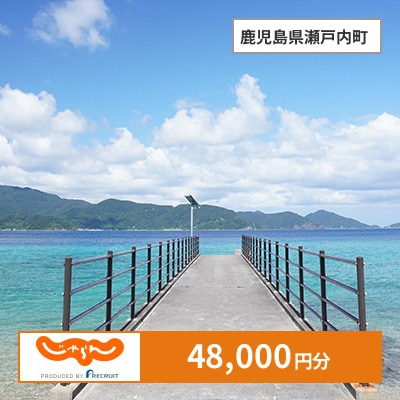 【じゃらんふるさと納税クーポン】 鹿児島県瀬戸内町でつかえる48,000円 クーポン