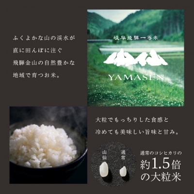 【令和6年産米】すがたらいす 山仙 (いのちの壱) キューブ米 6個【51-21】