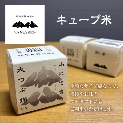 【令和6年産米】すがたらいす 山仙 (いのちの壱) キューブ米 6個【51-21】