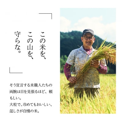 【令和6年産米】すがたらいす 山仙 (いのちの壱) キューブ米 6個【51-21】