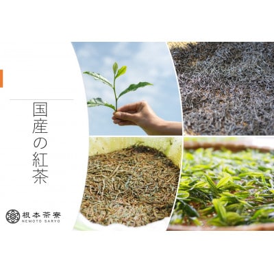 茨城県産　さしま和紅茶ペットボトル　350ml×24本