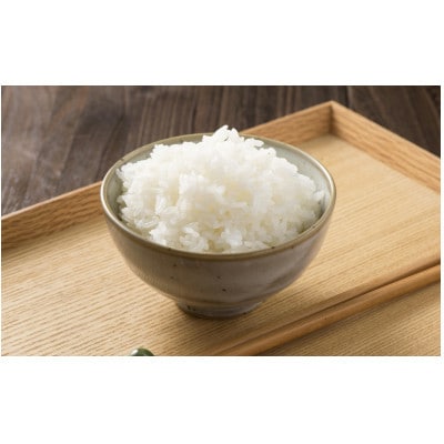 令和6年茨城県産コシヒカリ10kg(精米)