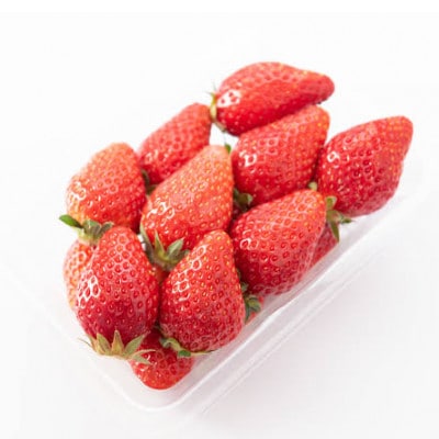 とちおとめ大粒　250g(8～12粒)×4pc  茨城県内共通返礼品:石岡市産