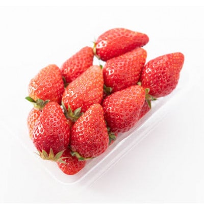 お歳暮　とちおとめ大粒　250g×4pc 茨城県内共通返礼品:石岡市