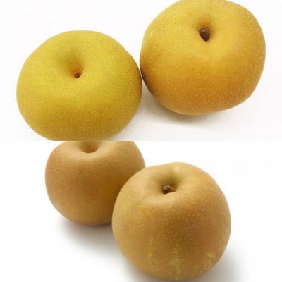 梨　2品種食べ比べ　約5kg(5～8個×2品種)　茨城県内共通返礼品:石岡市
