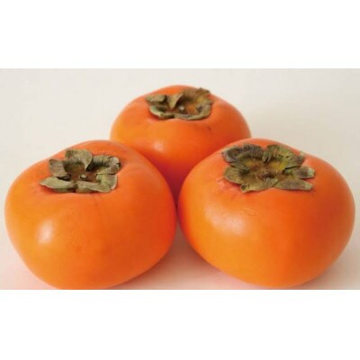 お歳暮　化粧箱　富有柿　約3kg(10～12個)　茨城県内共通返礼品:石岡市