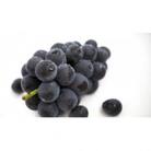 【お中元】【熨斗】巨峰　2房　茨城県共通返礼品:かすみがうら市