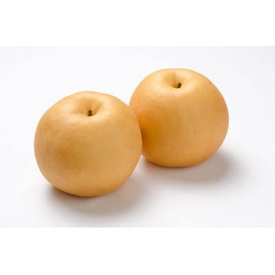 大玉新高　約5kg 5～9玉　茨城県内共通返礼品:石岡市