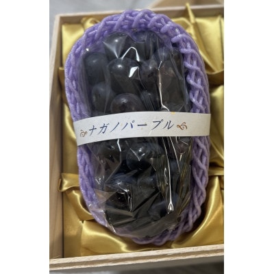 桐箱 ナガノパープル 1房 茨城県内共通返礼品:かすみがうら市