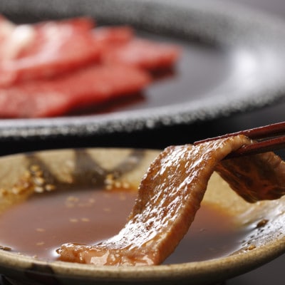 【毎月定期便】肥後の赤牛　焼肉用　500g(八代市)全6回
