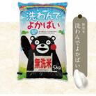 水の都熊本のお米　とがずに炊けます!簡単・便利　無洗米　洗わんでよかばい5kg×2袋