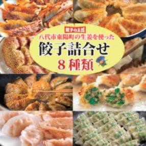 八代市東陽町の生姜を使った餃子の王国　餃子8種詰合せ